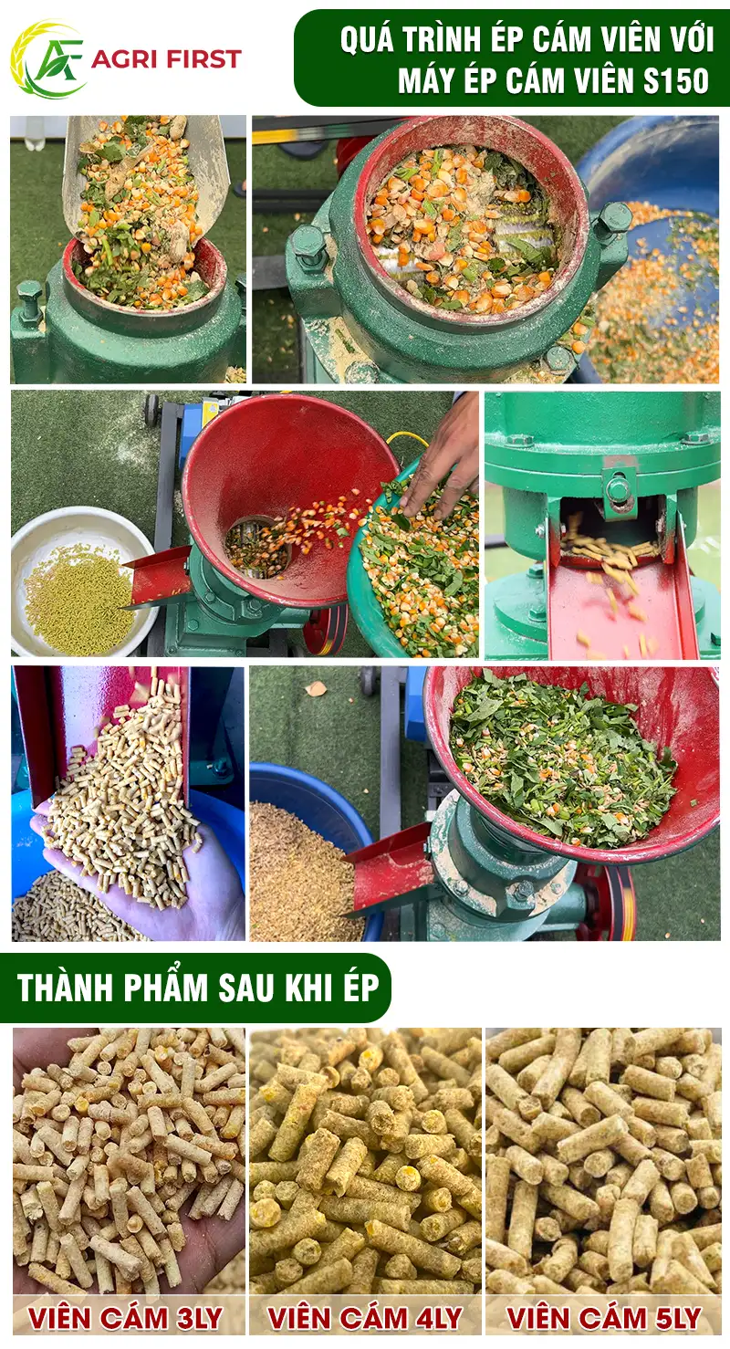 cach-su-dung-may-ep-cam-vien copy_result222