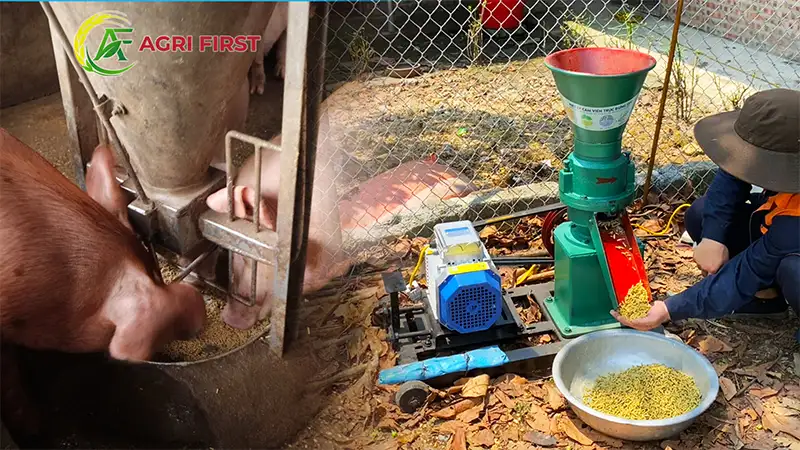 cam-vien-cho-lon_result222