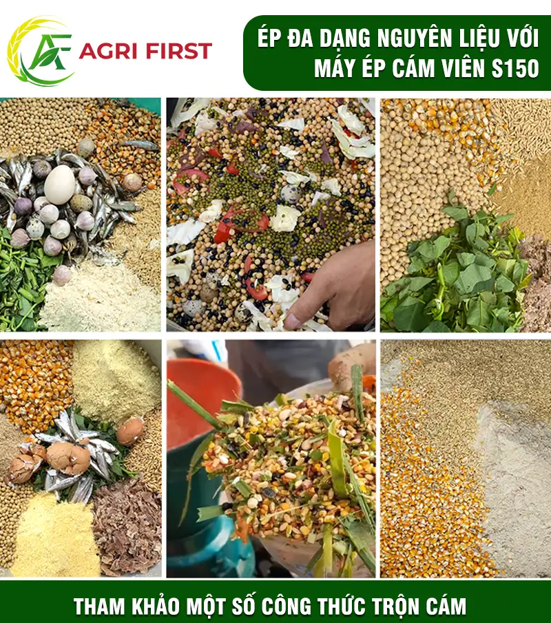 cong-thuc-ep-cam-vien copy_result222