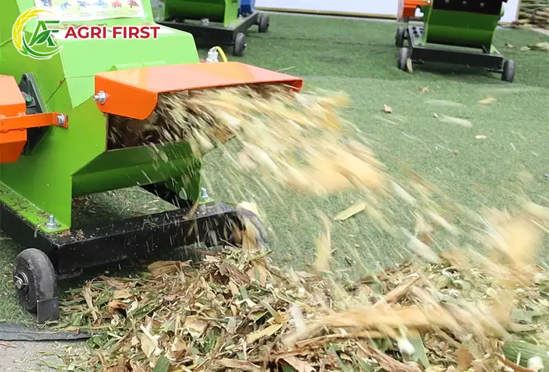 cua-xa-thanh-pham_result222