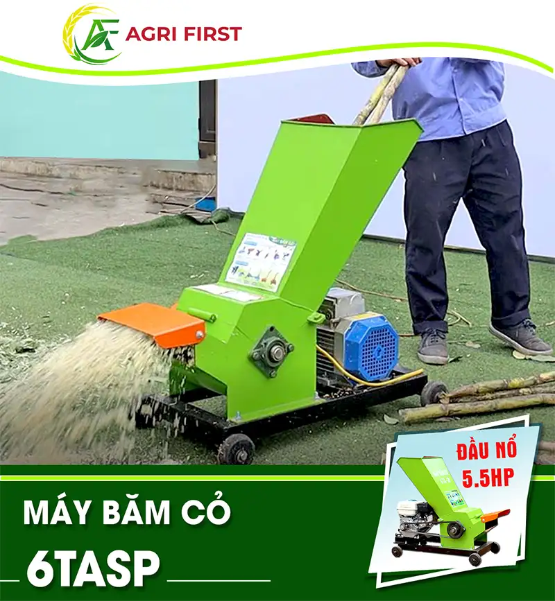 may-bam-co-6tasp_result222