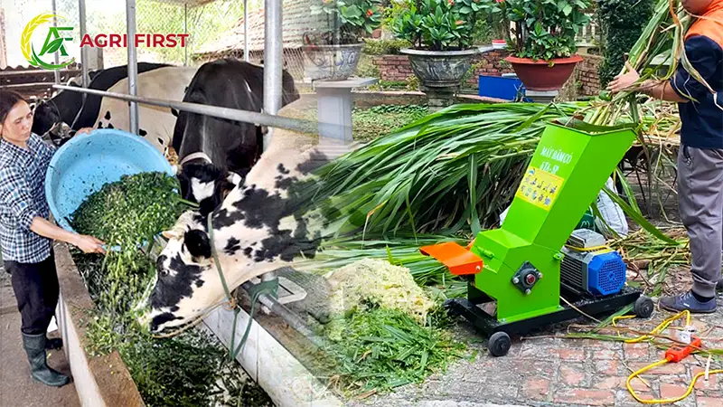 may-bam-co-cho-bo-dung-dien-1-pha_result222