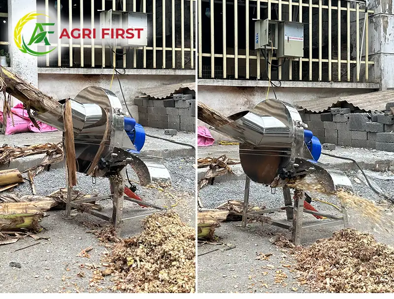 bam-cay-chuoi_result222