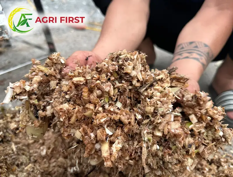 bam-chuoi-cho-lon_result222