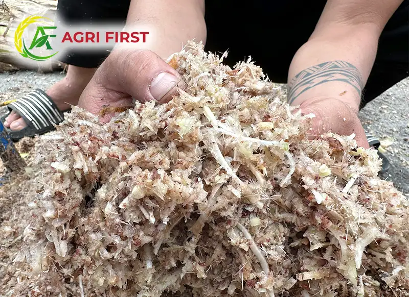 bam-nhuyen-chuoi_result222