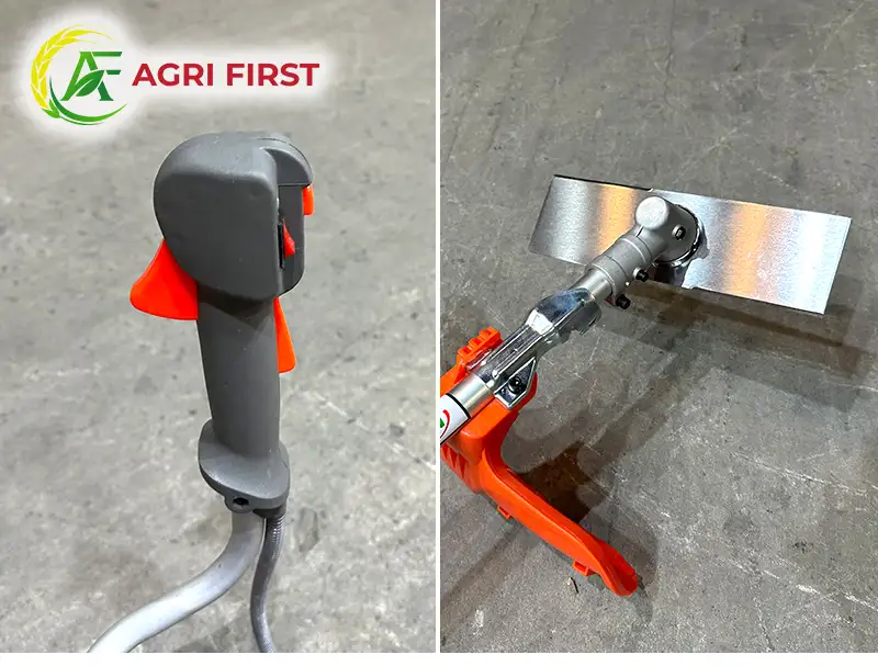 dao-cat-co_result222