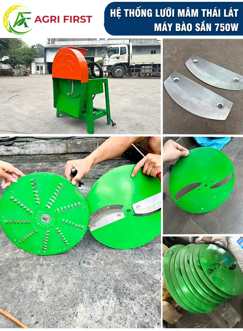 dao-thai-san_result222