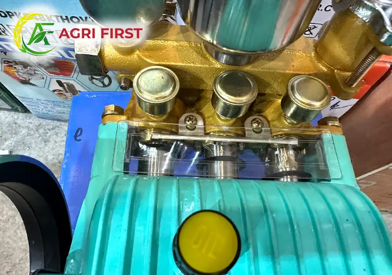 dau-phun-piston-inox_result222