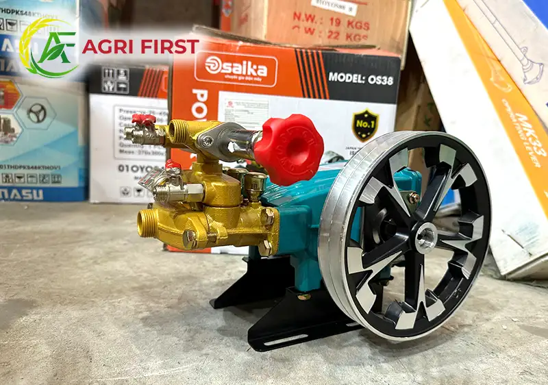 dau-phun-triet-ap_result222