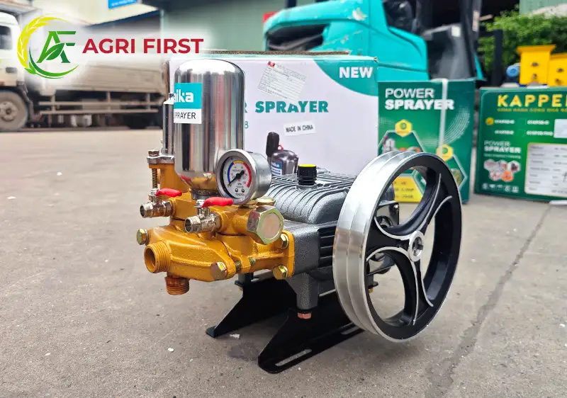 dau-phun-gan_result222