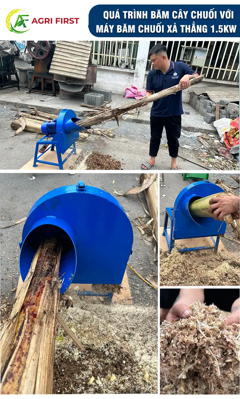 may-bam-chuyen-nhuyen_result222