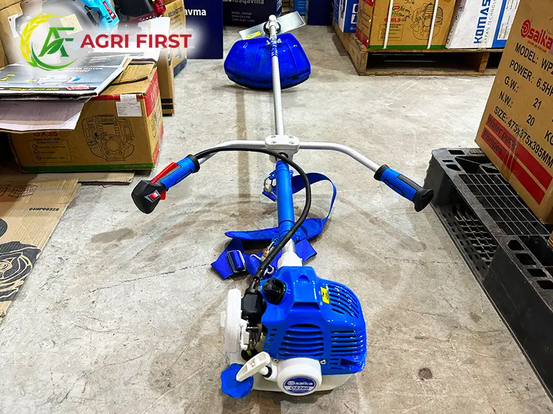 may-cat-co-2-thi_result222