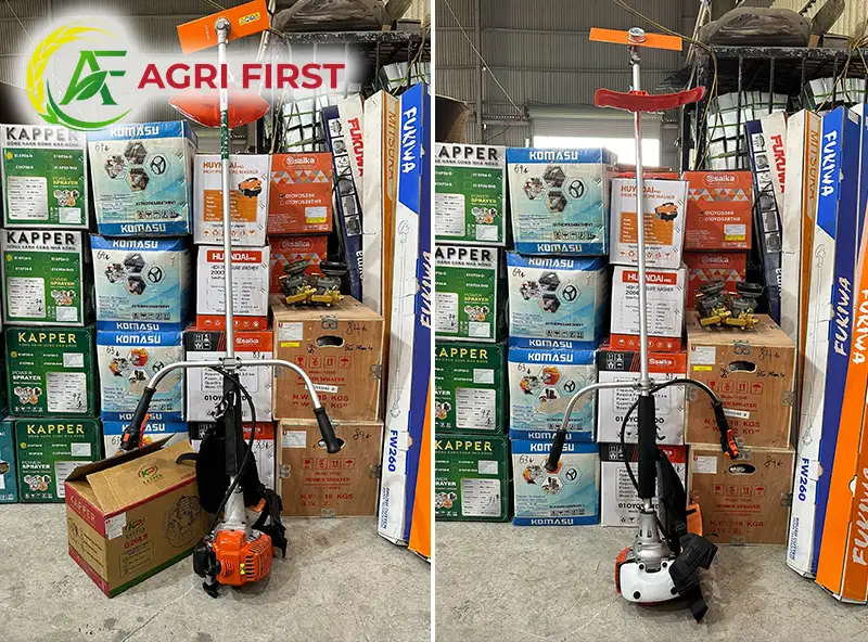 may-cat-co-2-thi_result222