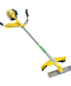 may-cat-co-330-kashiwa_result222