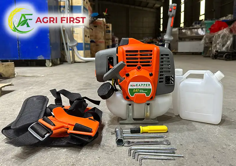 may-cat-co-kapper-5411-cam_result222