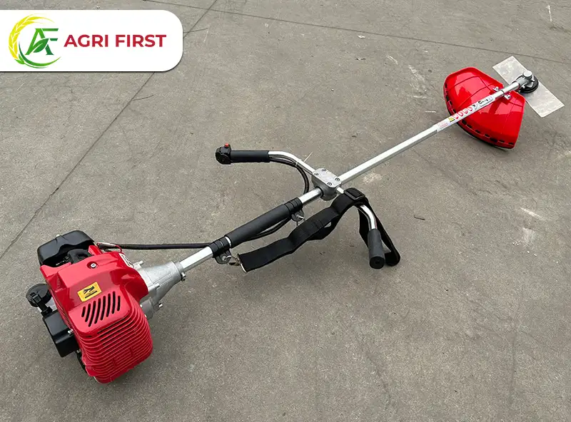 may-cat-co-takara-430_result222