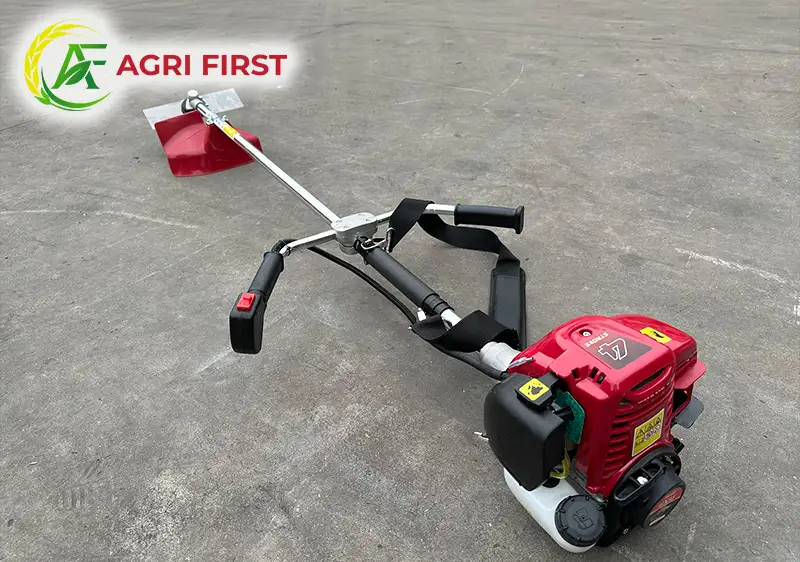 may-cat-co_result222