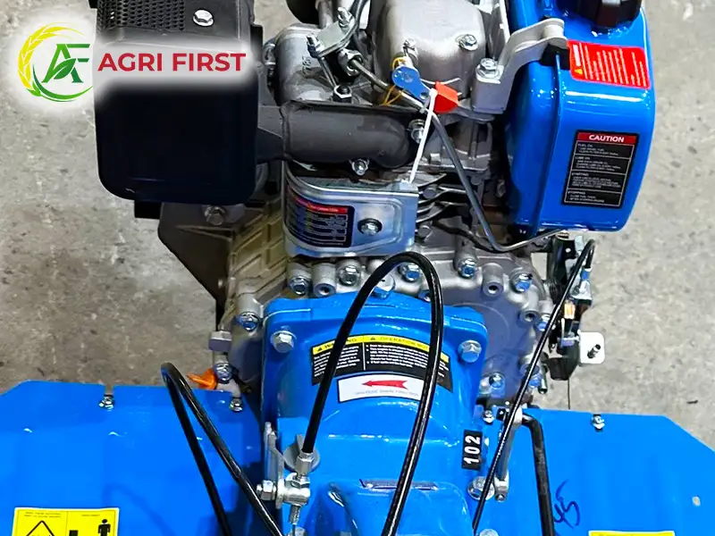 may-cay-dau-con-trong_result222