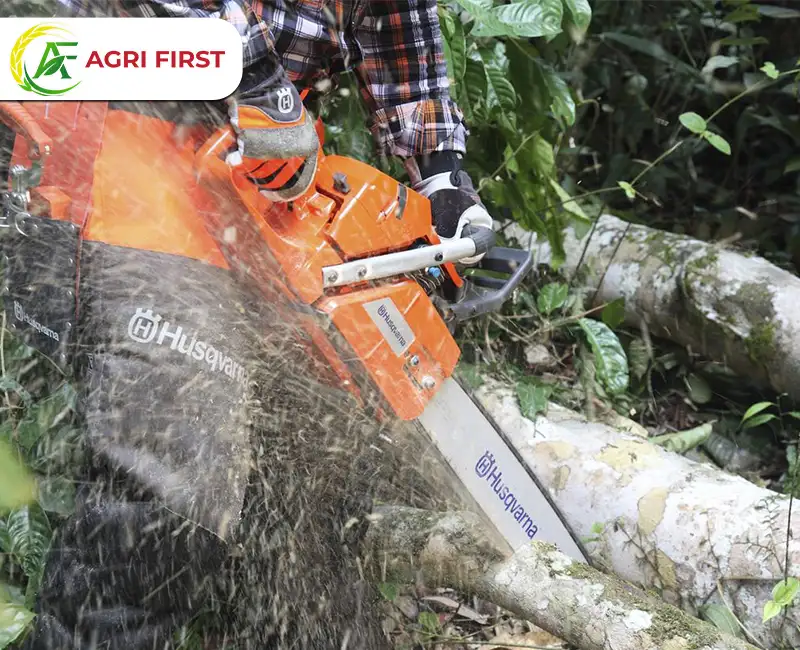 may-cua-xich-365_result222