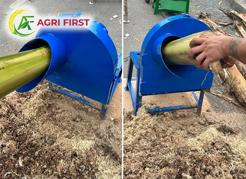 toa-nap-may-bam-chuoi_result222