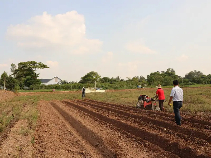 nen-chon-may-cay-bang-xang-hay-dau_result222