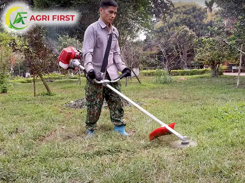 may-cat-co-2-thi_result222