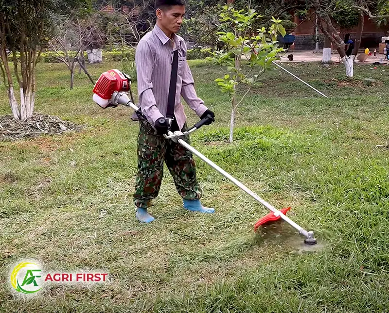 may-cat-co-chay-xang-2-thi_result222