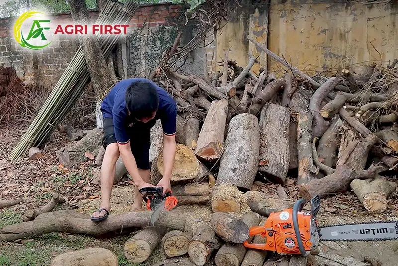 may-cua-xang-2-thi_result222