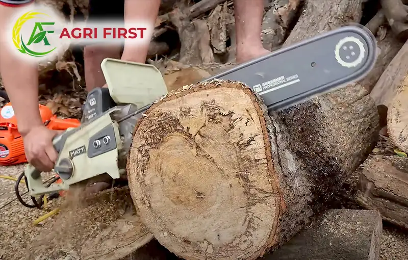 may-cua-xich-dien-220v_result222