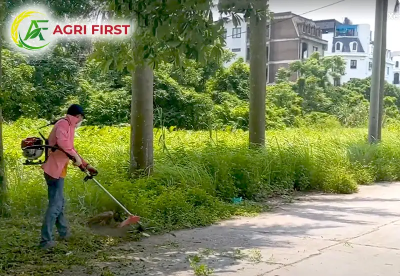 may-phat-co_result222