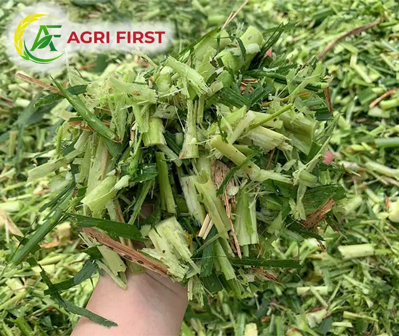 bam-co-voi_result222