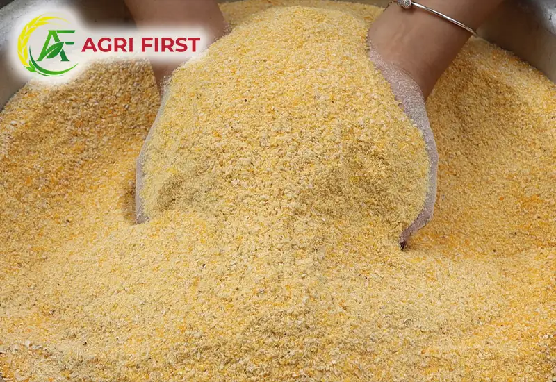 bot-cam-ngo_result222