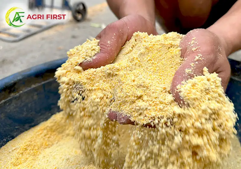 bot-cam-ngo_result222