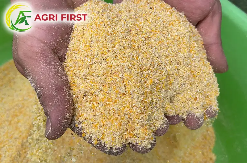 bot-cam-ngo_result222