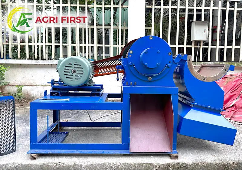 buong-dao-bam-xo-dua_result222