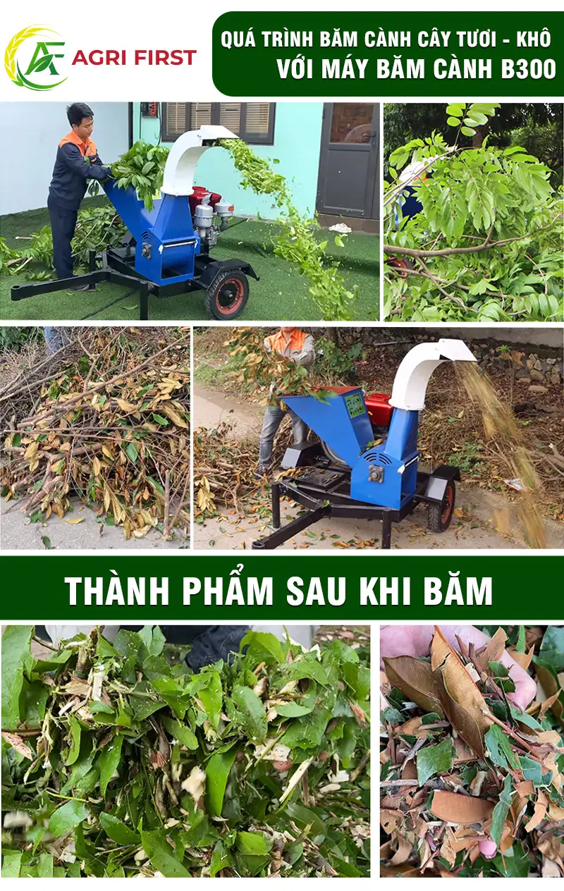 cach-su-dung-may-bam-canh-b300 copy_result222