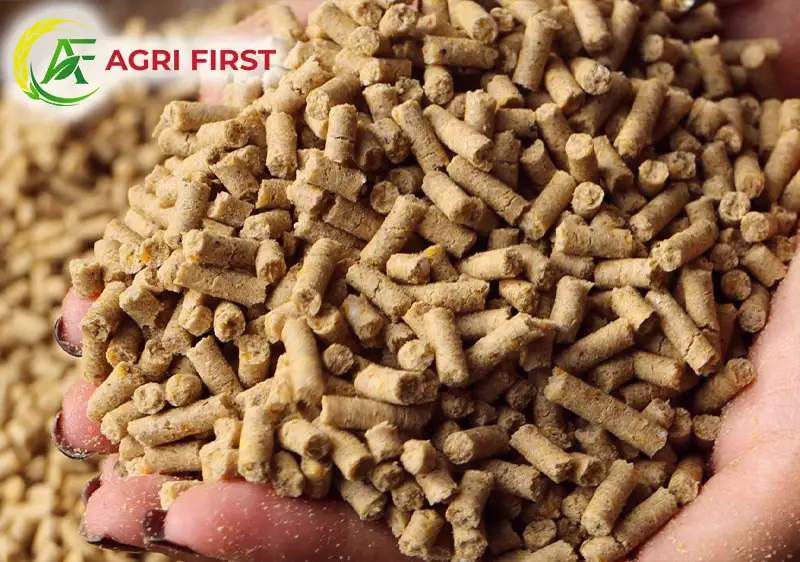 cam-vien-cho-ga_result222