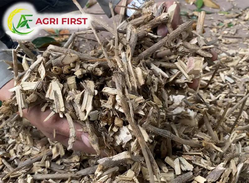 dam-go-canh-cay_result222