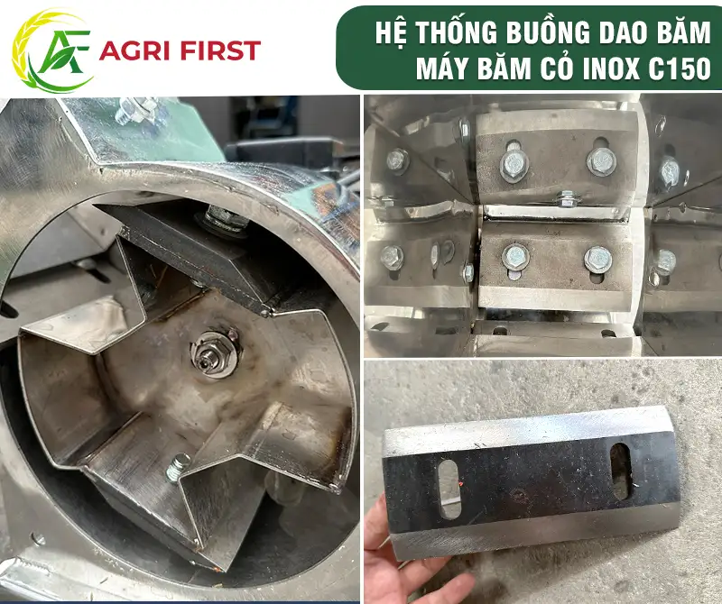 dao-bam-co copy 2_result222