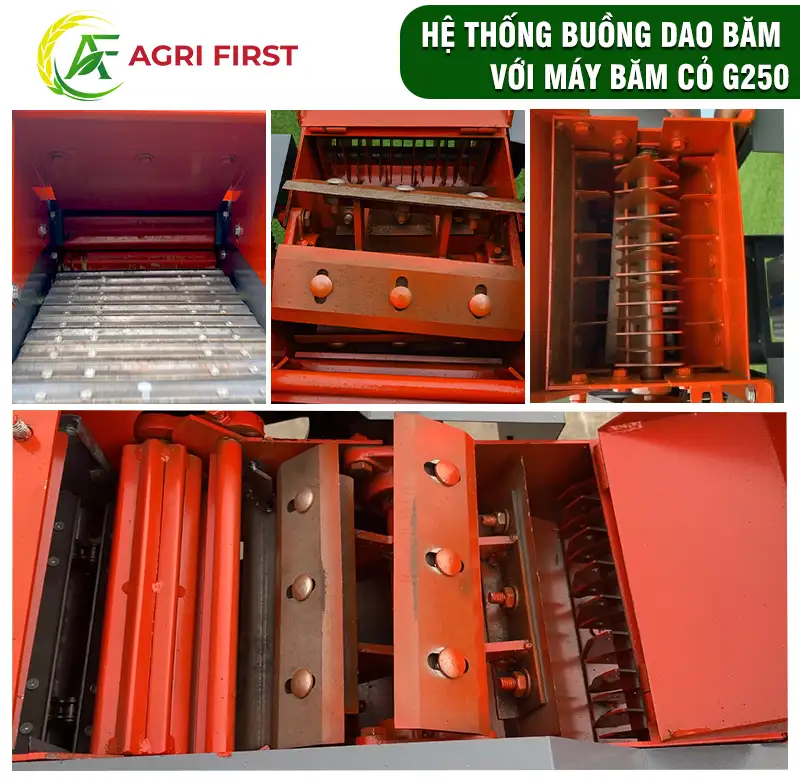 dao-bam-co copy_result222