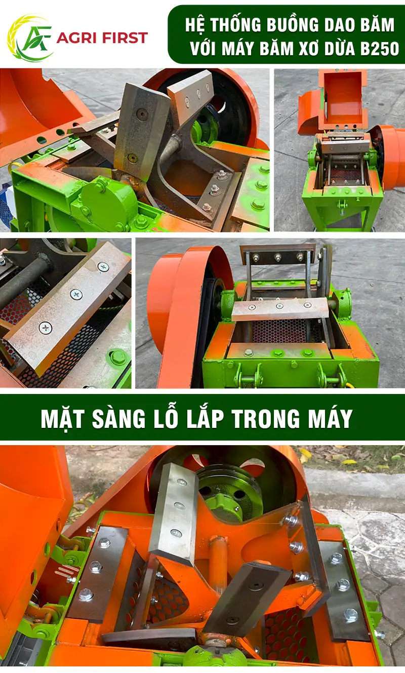 dao-bam-dua copy_result222