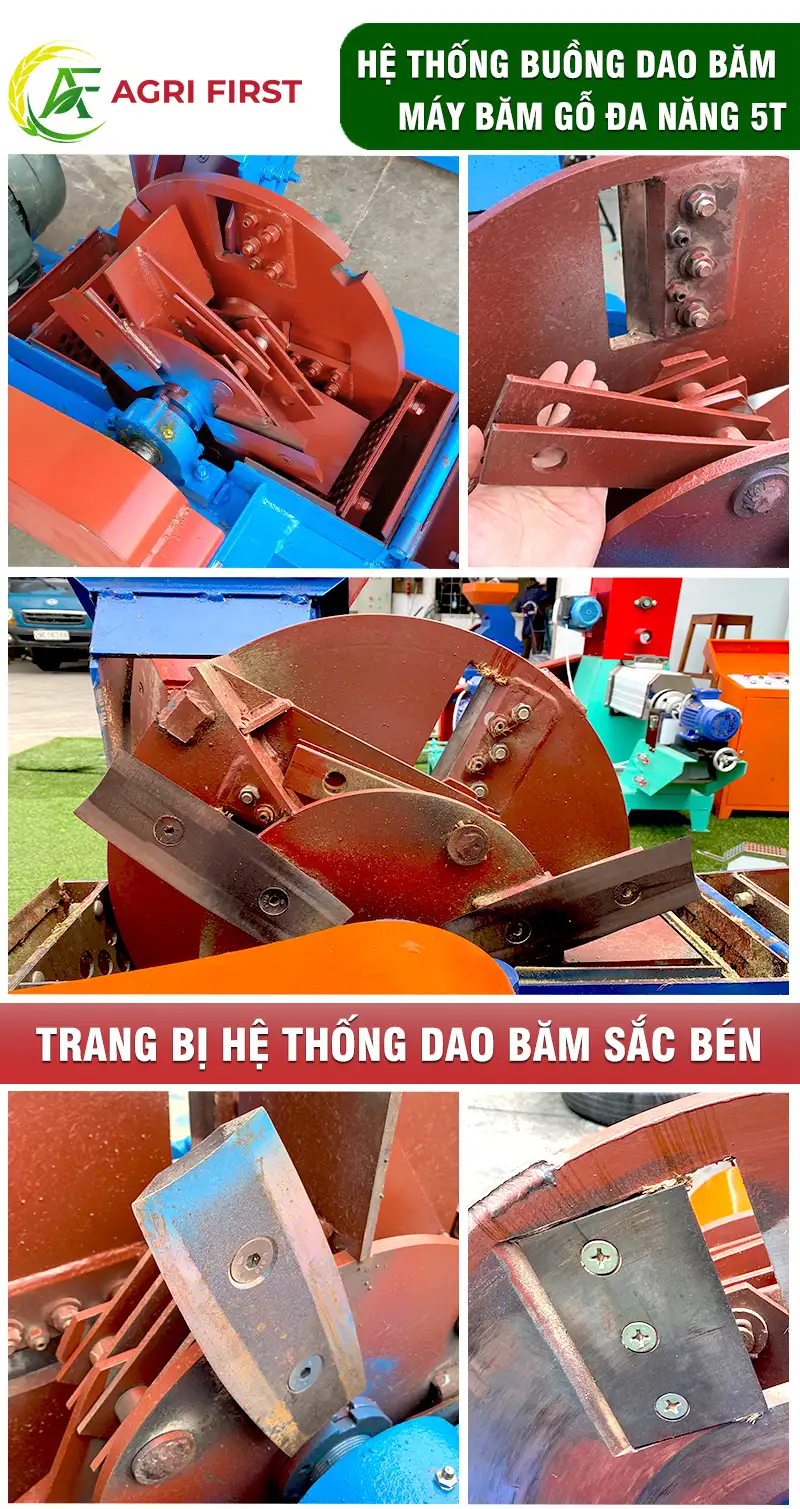 dao-bam-go_result222