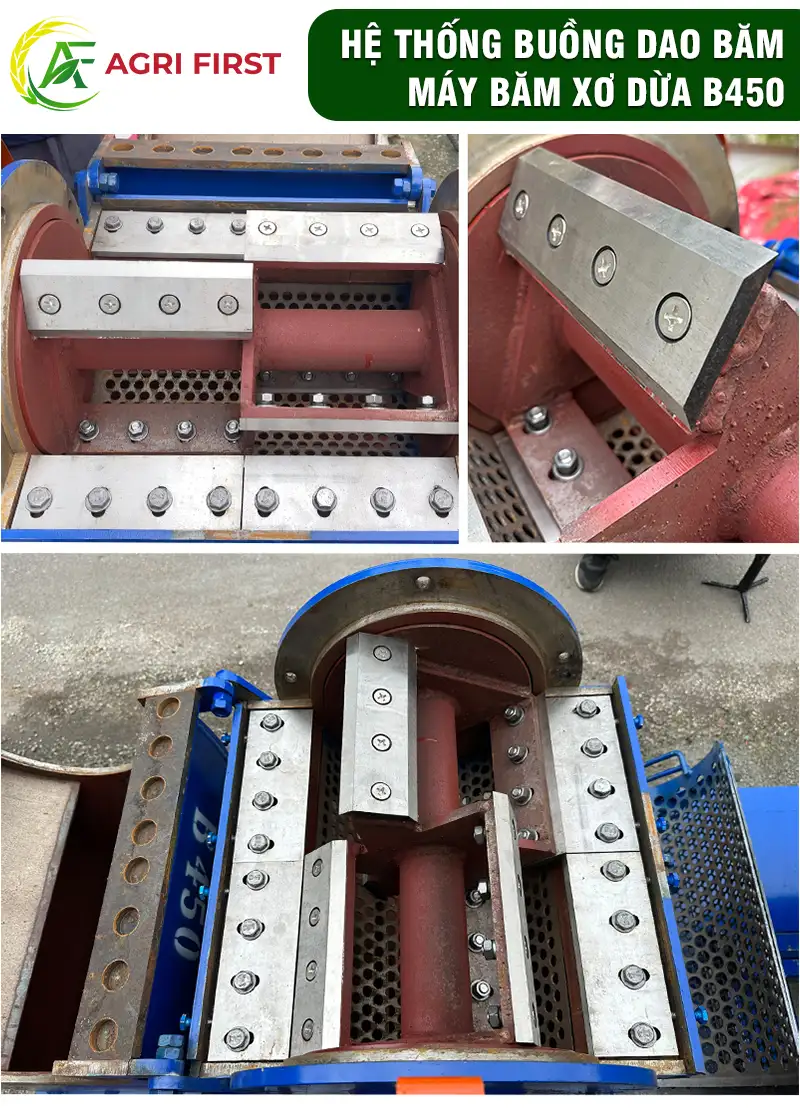 dao-bam-xo-dua copy_result222