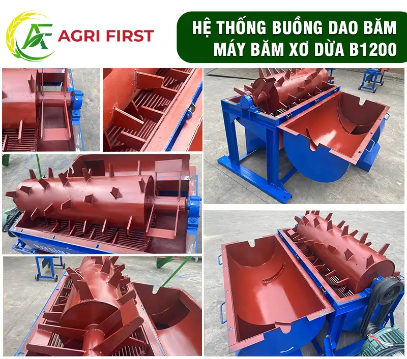 dao-bam-xo-dua copy_result222