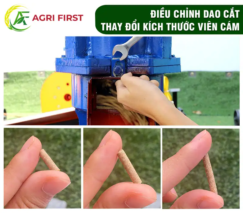 dieu-chinh-thanh-dao-cat-cam copy_result222