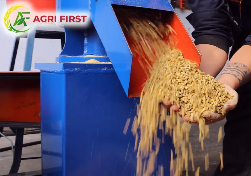 ep-cam-vien_result222