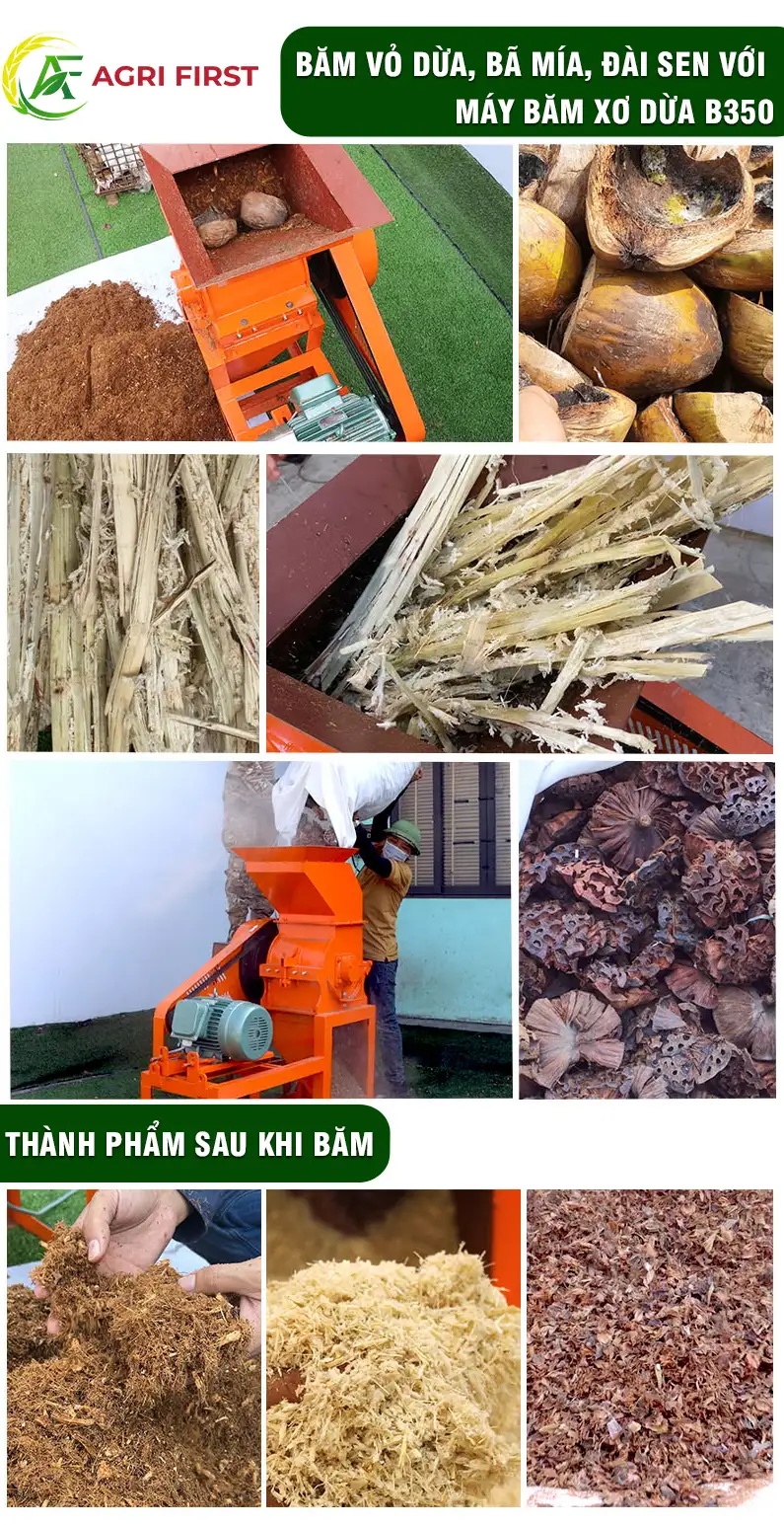 may-bam-ba-mia copy_result222