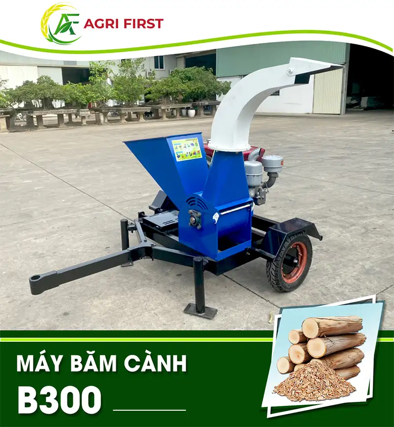 may-bam-canh-b300_result222