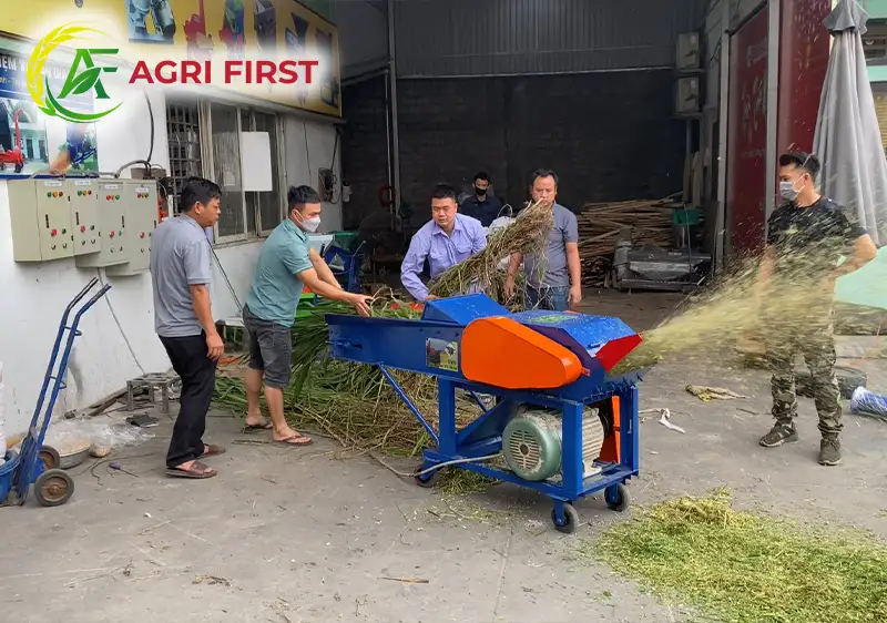 may-bam-co-3-pha-co-bang-tai_result222