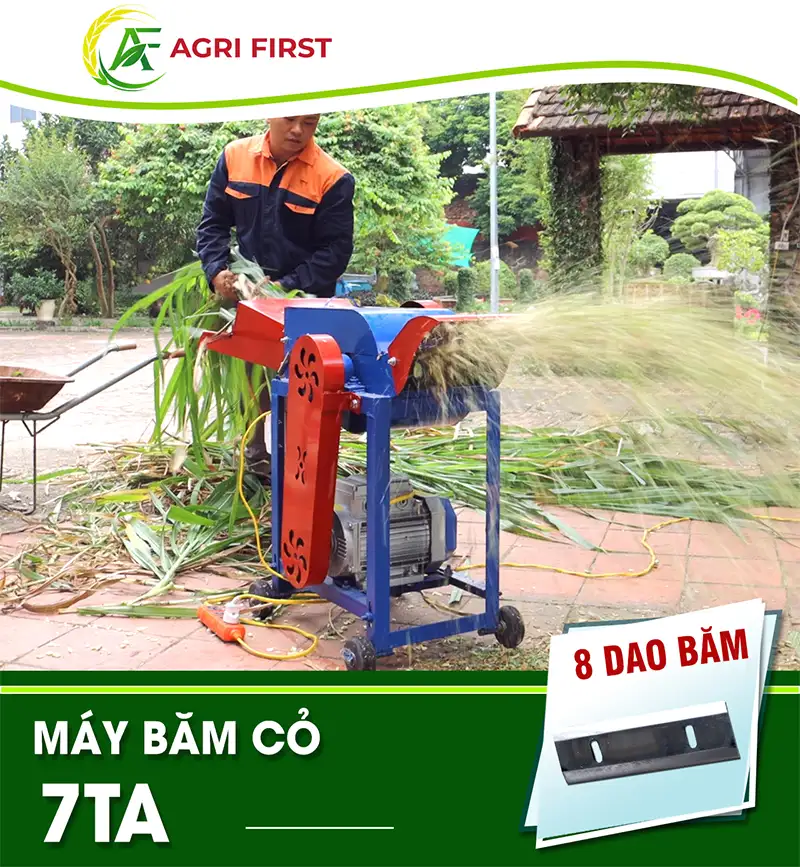 may-bam-co-7ta_result222